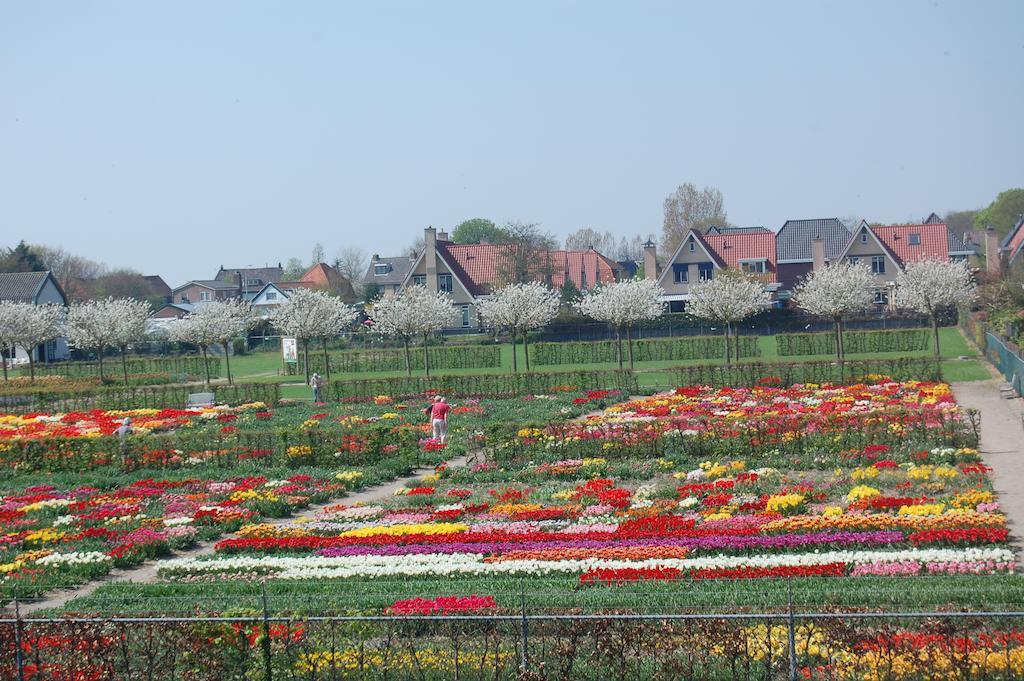 B&B Limmerzand Limmen Esterno foto